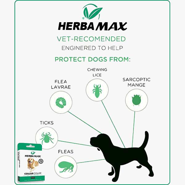 Herba Max Dog obroża przeciw pasożytom