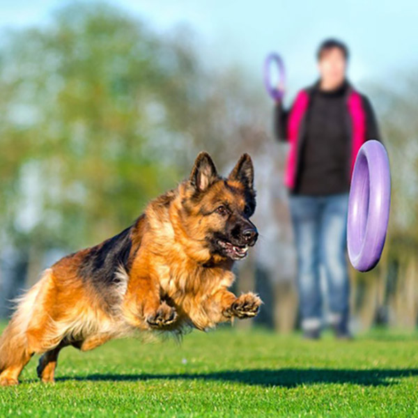 Zabawka fitness Puller dla psa Standard