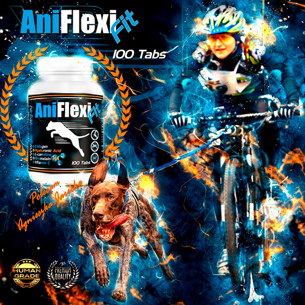 GameDog AniFlexi Fit 100t układ ruchu psów sportow
