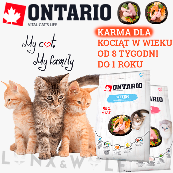 Karma-dla-kociąt-Ontario-lynxandwolf