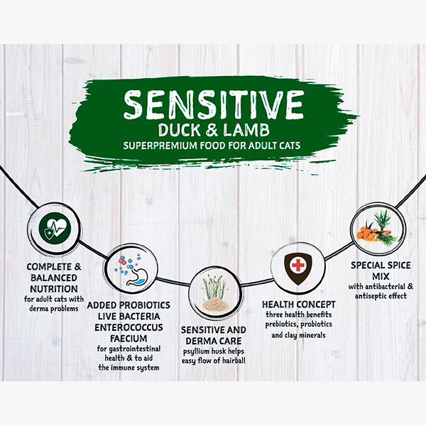 sensitive-duck-lamb