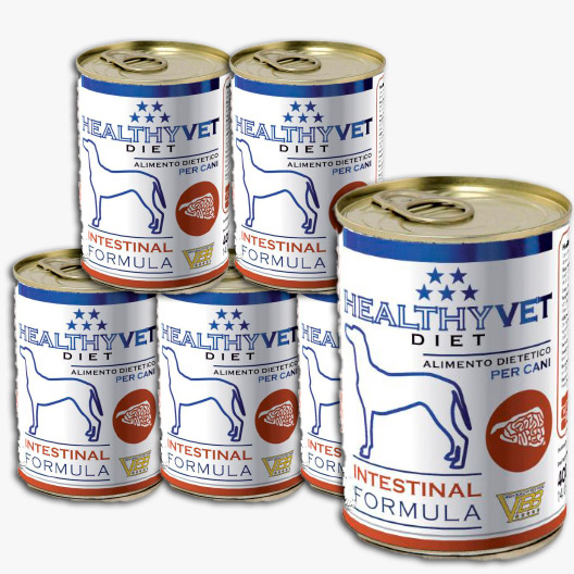 6-intestinal-dog healthy vet